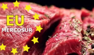 EU:n ruokaturvallisuus vaarantuu: 62 tonnia brasilialaista hormonilihaa vyöryi Euroopan markkinoille