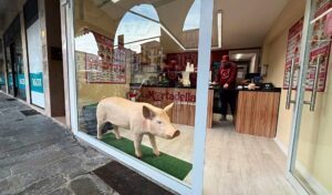 Muovipossu suututti muslimijohtajan