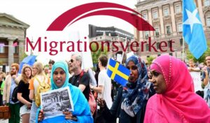 Ruotsalaiset vähemmistönä omassa virastossaan: maahanmuuttoviraston henkilöstöstä jopa 95 % ulkomaalaistaustaisia