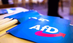 Seitsemän AfD-poliitikkoa kuollut ennen vaaleja