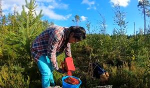 ”Olen menettänyt kaiken” – 78 törkeästä ihmiskaupasta syytetty thaimaalaisnainen murtui oikeudessa